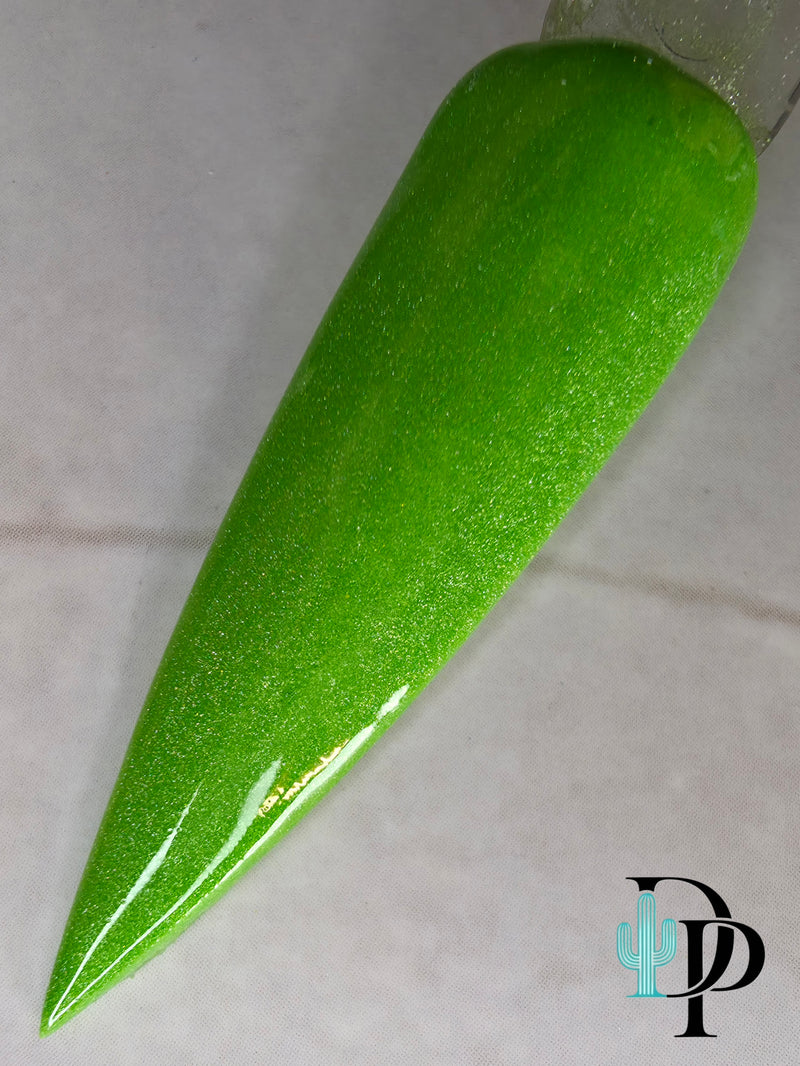 024 Kiwi