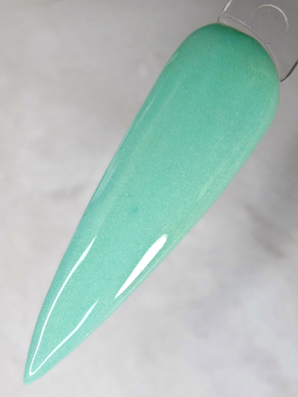 Hold Your Horses
